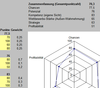 Spinnendiagramm zur Anfragebewertung